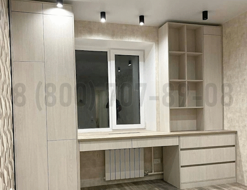 Рабочая зона модель r243 купить в Мытищах