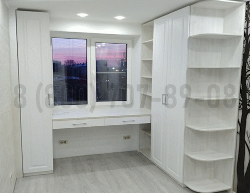 Рабочая зона модель r250 купить в Мытищах