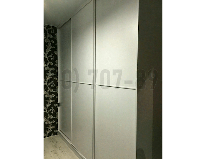 Шкаф купе ЛДСП фасад в Мытищах